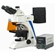 Fluorescence Trinocular Microscope